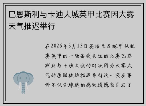 巴恩斯利与卡迪夫城英甲比赛因大雾天气推迟举行